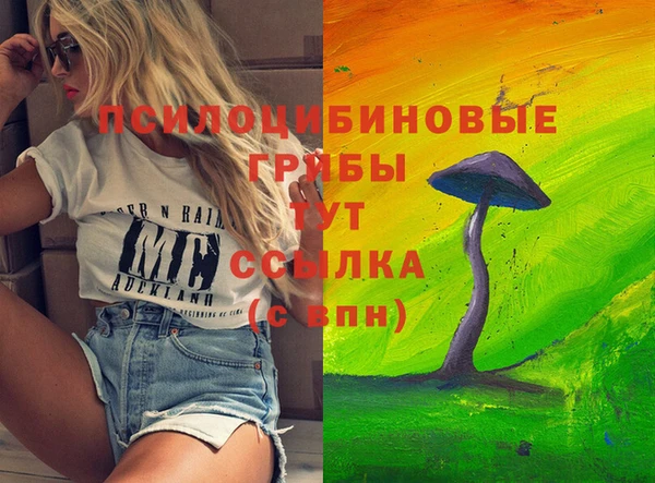 бутират Белокуриха