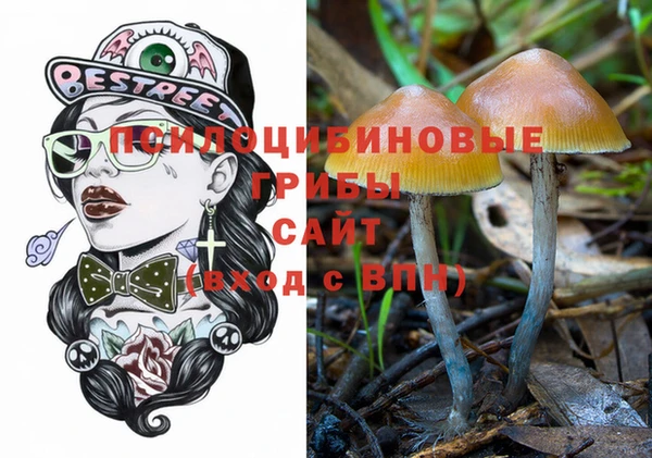 амф Балахна
