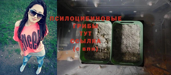 шишки Баксан