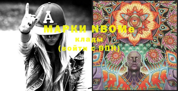 шишки Баксан