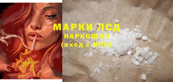 шишки Баксан